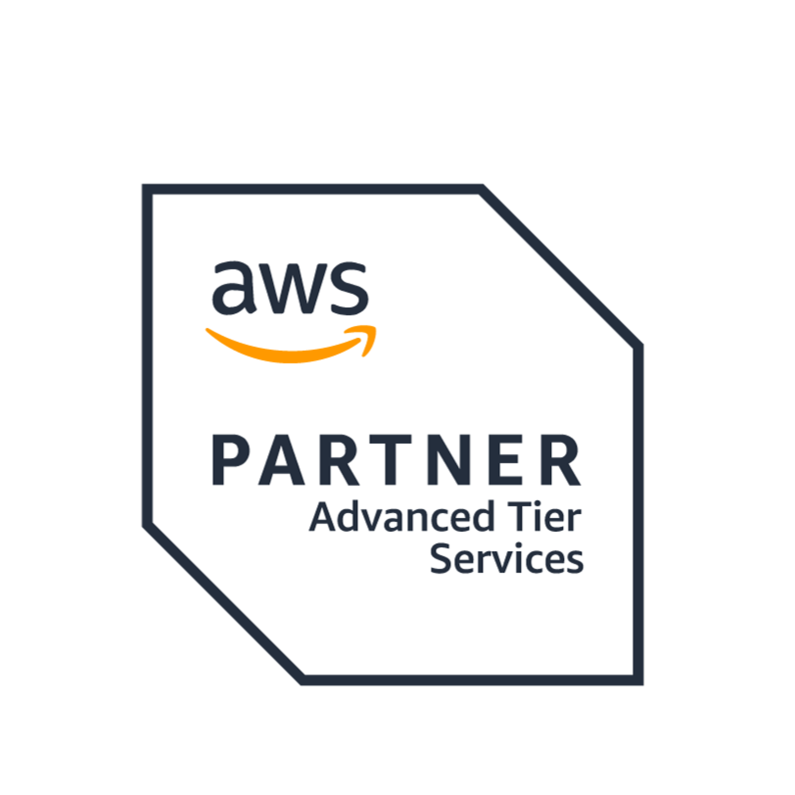 AWS Partner Advanced Tier Services